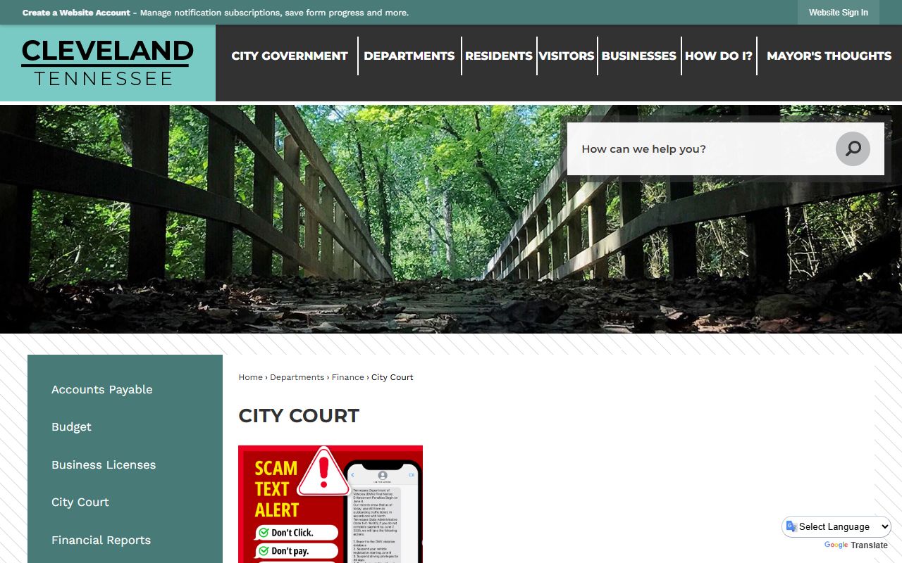 Cleveland Felony Records city court page