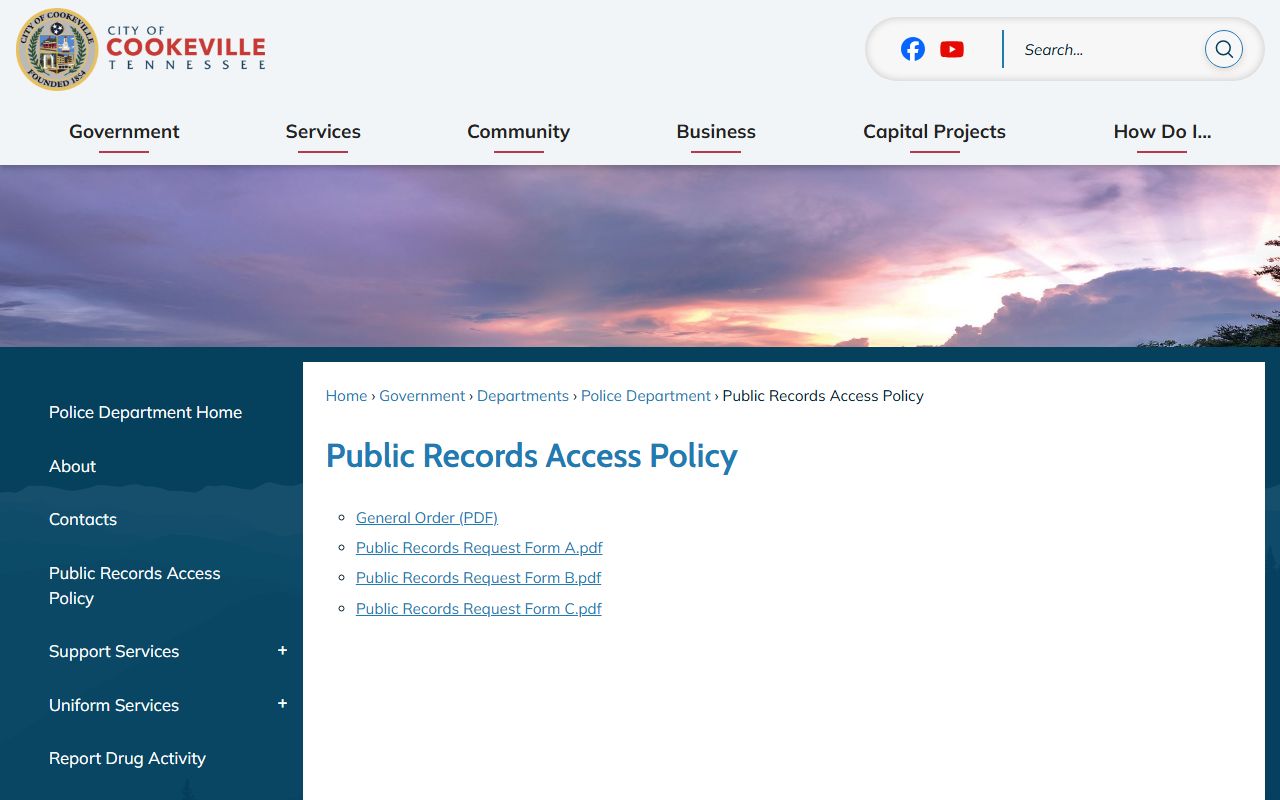 Cookeville Felony Records and Cookeville public records policy